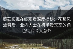 蘑菇影视在线观看深度揭秘：花絮风波背后，业内人士在机场贵宾室的角色彻底令人意外