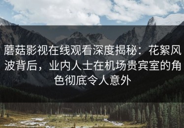 蘑菇影视在线观看深度揭秘：花絮风波背后，业内人士在机场贵宾室的角色彻底令人意外