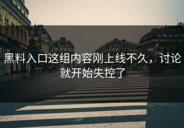 黑料入口这组内容刚上线不久，讨论就开始失控了