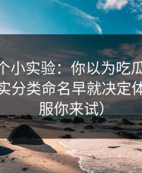 我做了个小实验：你以为吃瓜51靠运气？其实分类命名早就决定体验（不服你来试）