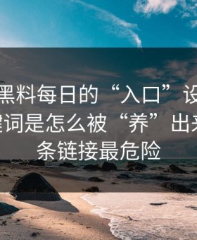 别笑，黑料每日的“入口”设计很精——关键词是怎么被“养”出来的，这条链接最危险