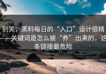 别笑，黑料每日的“入口”设计很精——关键词是怎么被“养”出来的，这条链接最危险