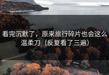看完沉默了，原来旅行碎片也会这么温柔刀（反复看了三遍）