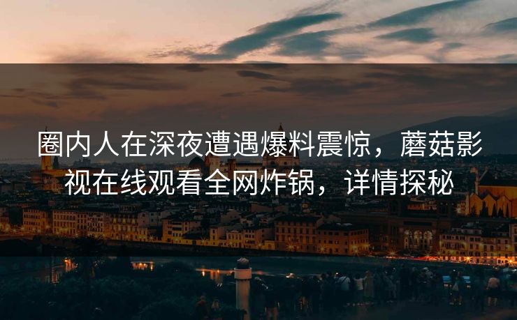 圈内人在深夜遭遇爆料震惊，蘑菇影视在线观看全网炸锅，详情探秘