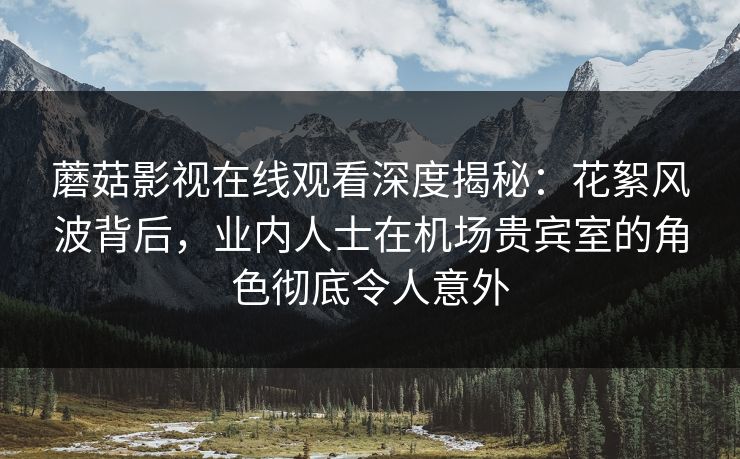 蘑菇影视在线观看深度揭秘：花絮风波背后，业内人士在机场贵宾室的角色彻底令人意外